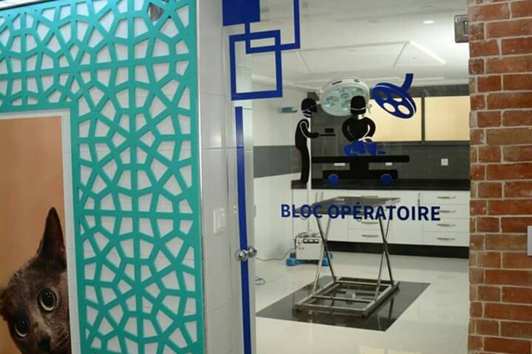 Bloc opératoire de la clinique vétérinaire vu depuis le couloir